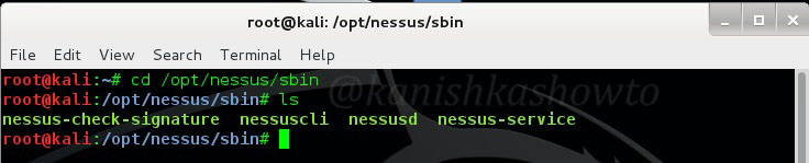 reset nessus password