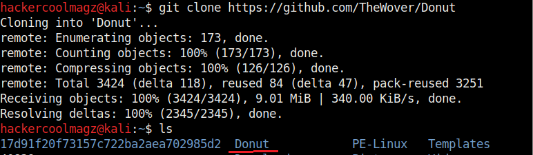donut1