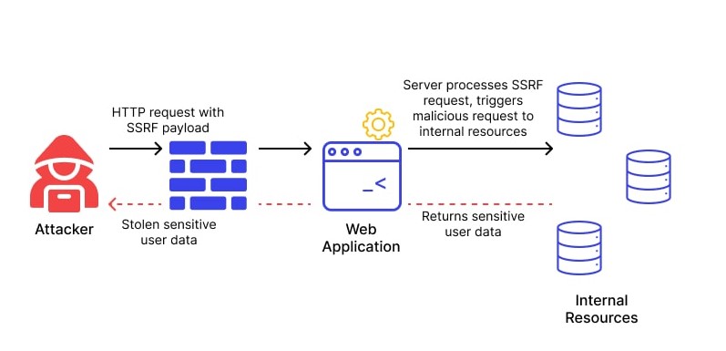 Cross Site Scripting (XSS) for Beginners - Hackercool Magazine