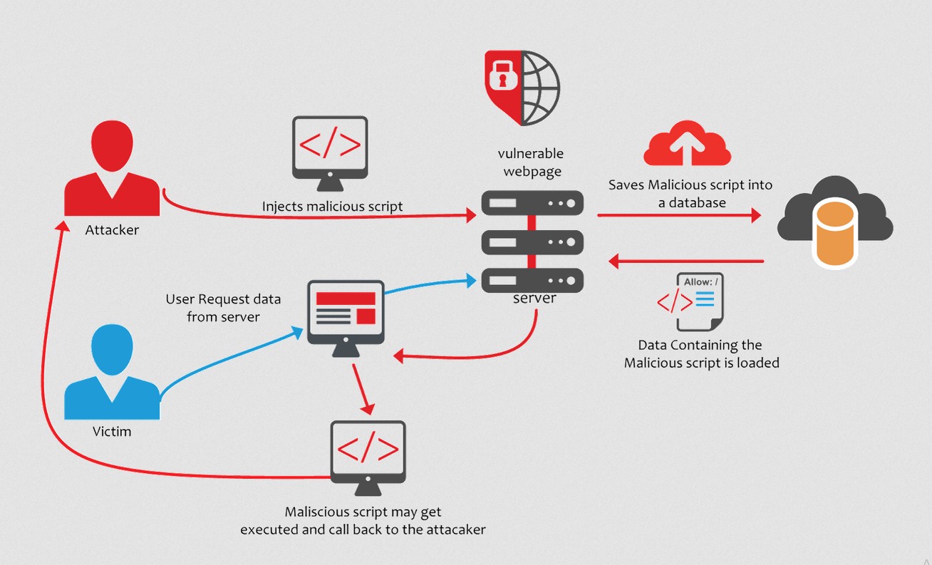 Cross Site Scripting (XSS) for Beginners - Hackercool Magazine