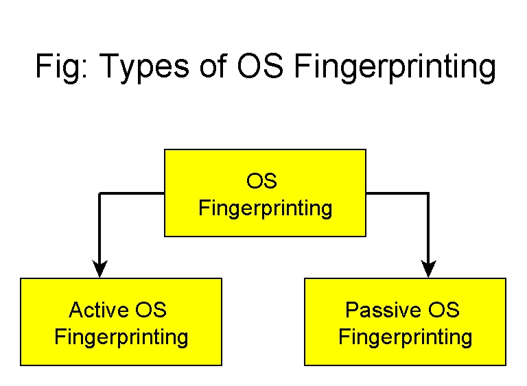 os fingerprinting