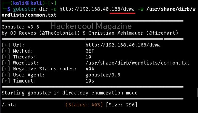 Beginners guide to gobuster tool - Hackercool Magazine
